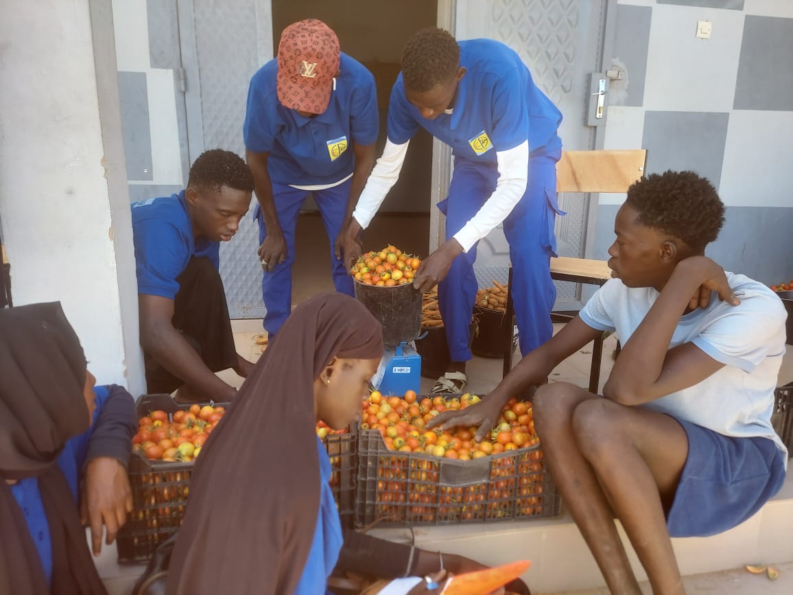 Centre annexe du CFP/CEFAM dédié à l'agriculture