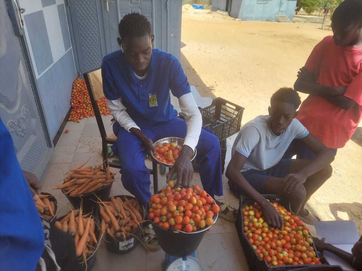 Centre annexe du CFP/CEFAM dédié à l'agriculture