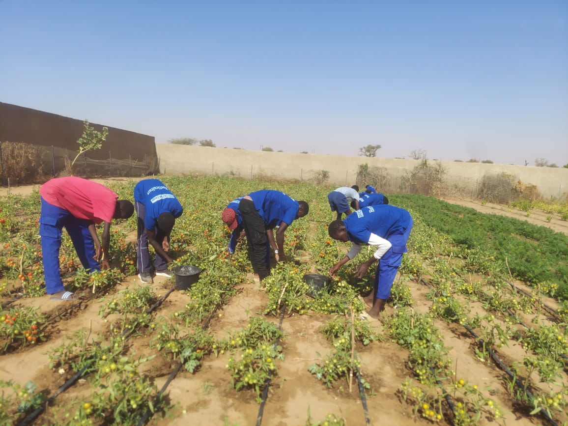 Centre annexe du CFP/CEFAM dédié à l'agriculture