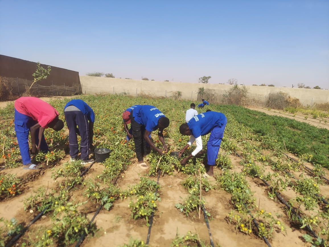 Centre annexe du CFP/CEFAM dédié à l'agriculture