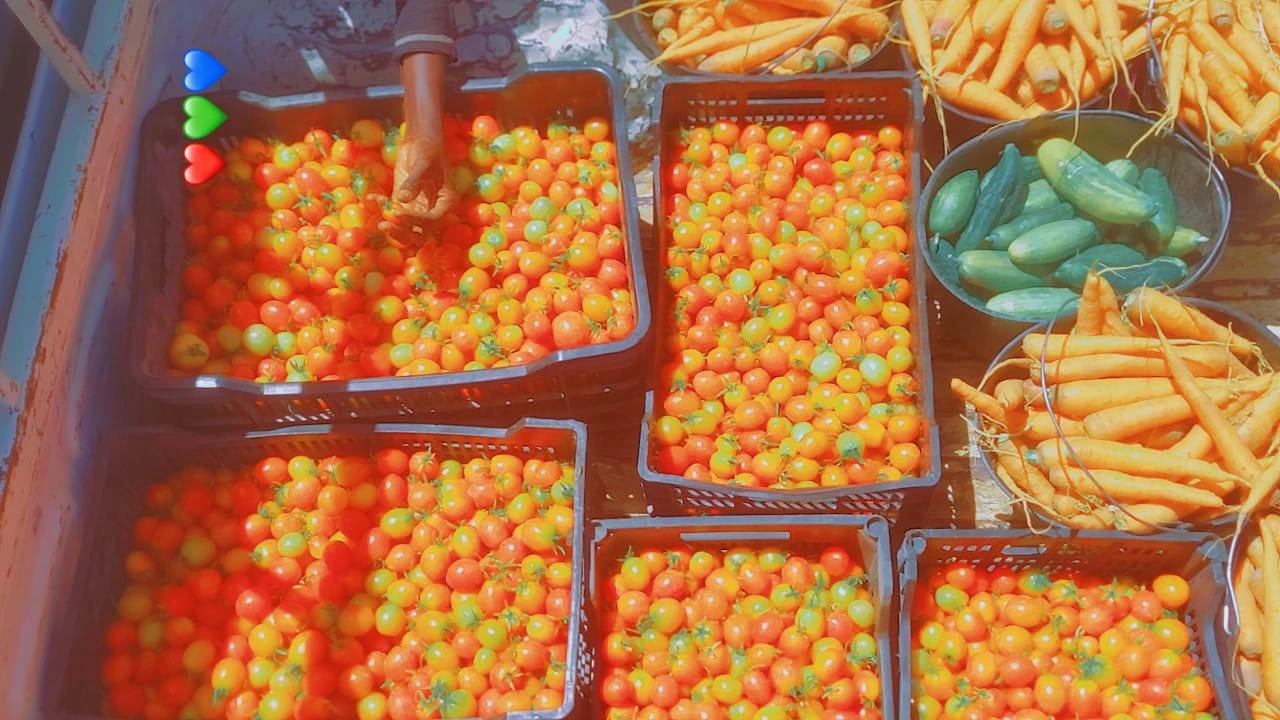 Centre annexe du CFP/CEFAM dédié à l'agriculture